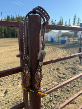 Load image into Gallery viewer, Medium Length Ring Bridle
