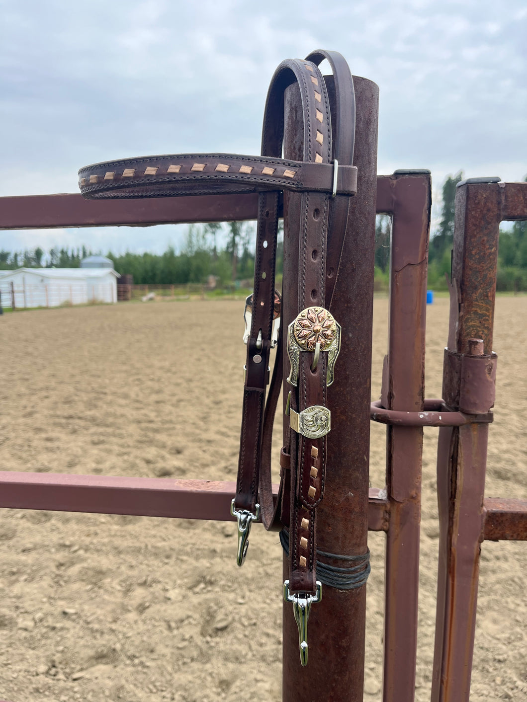 Quick Change Short Cheek Bridle