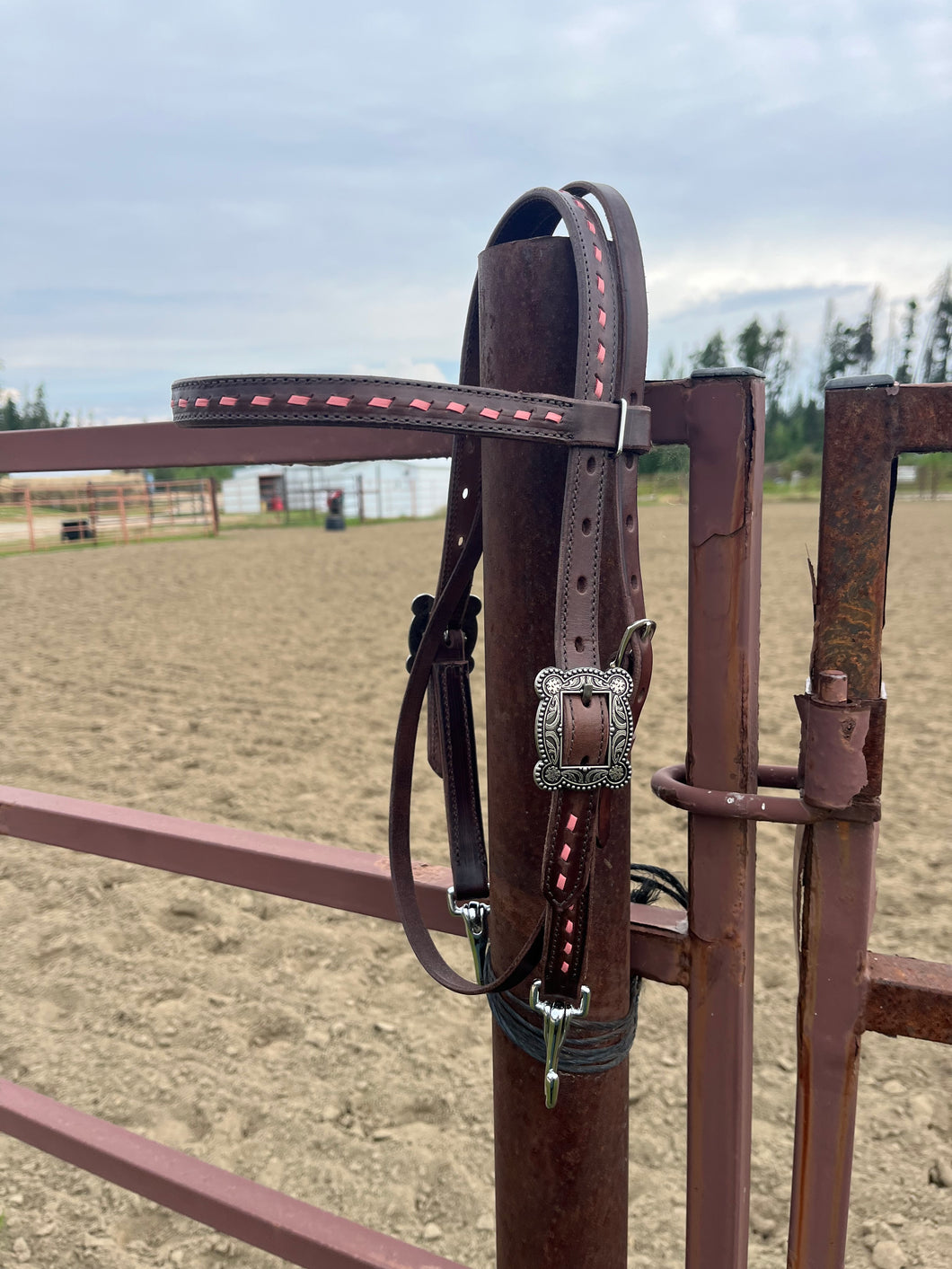 Quick Change Short Cheek Bridle