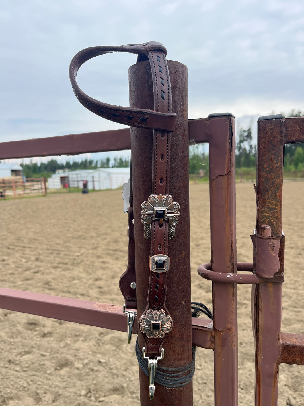 Quick Change Short Cheek Bridle