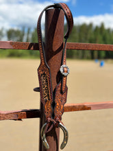 Load image into Gallery viewer, Cheetah Medium Length Bridle
