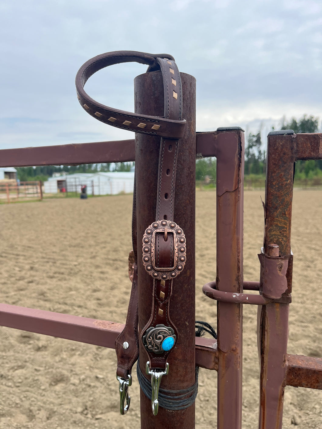 Quick Change Short Cheek Bridle
