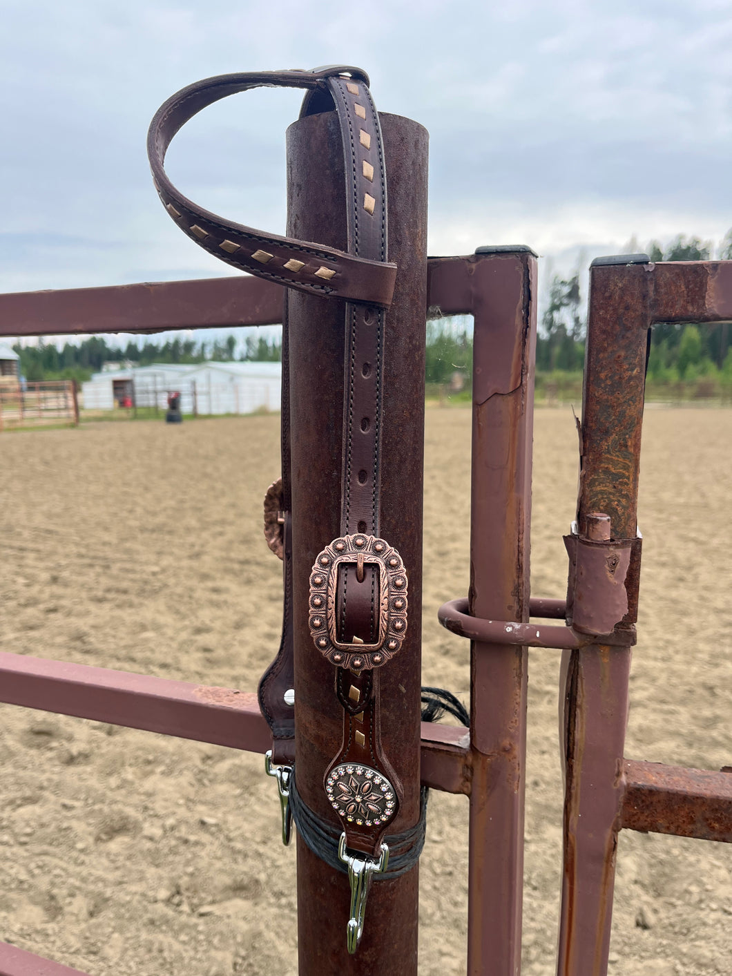 Quick Change Short Cheek Bridle